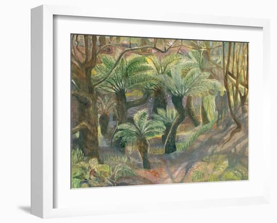 Tree Ferns, Trewidden-Mary Kuper-Framed Giclee Print