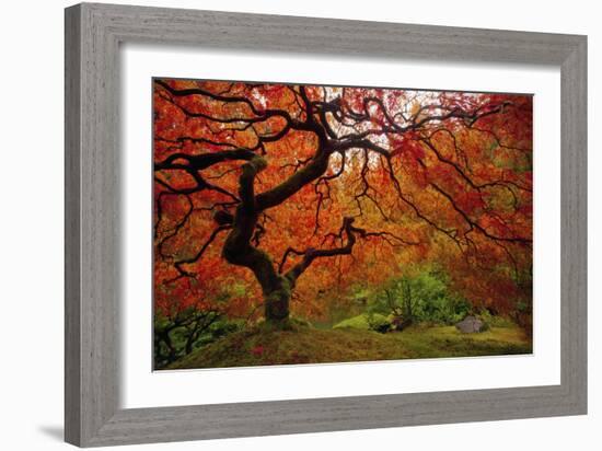 Tree Fire-Darren White Photography-Framed Photographic Print