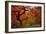 Tree Fire-Darren White Photography-Framed Photographic Print