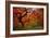 Tree Fire-Darren White Photography-Framed Photographic Print