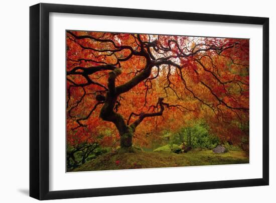 Tree Fire-Darren White Photography-Framed Photographic Print