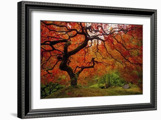 Tree Fire-Darren White Photography-Framed Photographic Print