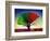 Tree For All Seasons-John Newcomb-Framed Giclee Print