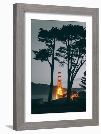 Tree Framed Golden Gate South, Early Evening, San Francisco-Vincent James-Framed Photographic Print