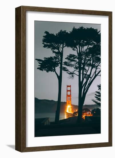 Tree Framed Golden Gate South, Early Evening, San Francisco-Vincent James-Framed Photographic Print