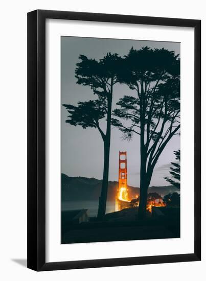 Tree Framed Golden Gate South, Early Evening, San Francisco-Vincent James-Framed Photographic Print