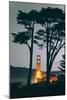 Tree Framed Golden Gate South, Early Evening, San Francisco-Vincent James-Mounted Photographic Print