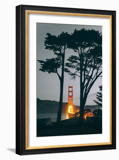 Tree Framed Golden Gate South, Early Evening, San Francisco-Vincent James-Framed Photographic Print