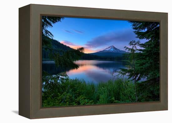 Tree Framed Trillium Lake Reflection, Summer Mount Hood Oregon-Vincent James-Framed Premier Image Canvas