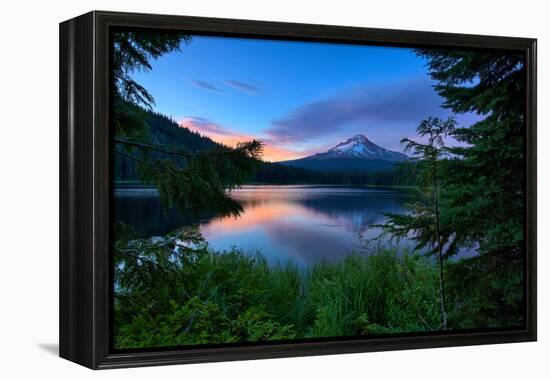 Tree Framed Trillium Lake Reflection, Summer Mount Hood Oregon-Vincent James-Framed Premier Image Canvas