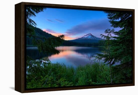 Tree Framed Trillium Lake Reflection, Summer Mount Hood Oregon-Vincent James-Framed Premier Image Canvas