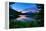 Tree Framed Trillium Lake Reflection, Summer Mount Hood Oregon-Vincent James-Framed Premier Image Canvas