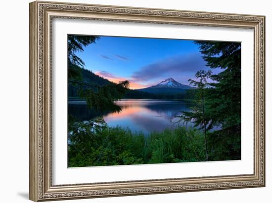 Tree Framed Trillium Lake Reflection, Summer Mount Hood Oregon-Vincent James-Framed Photographic Print