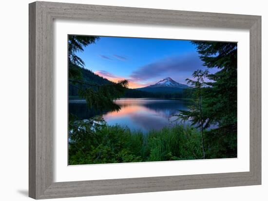 Tree Framed Trillium Lake Reflection, Summer Mount Hood Oregon-Vincent James-Framed Photographic Print