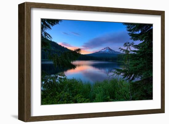 Tree Framed Trillium Lake Reflection, Summer Mount Hood Oregon-Vincent James-Framed Photographic Print