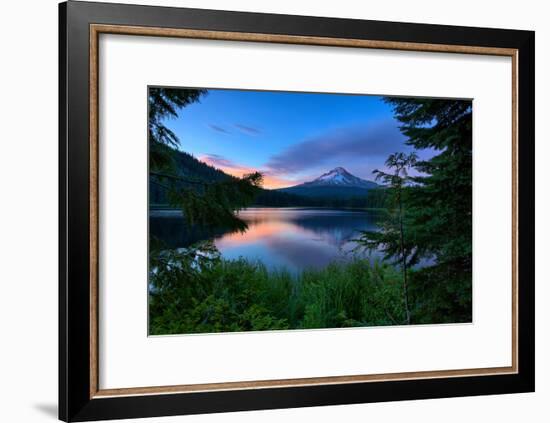 Tree Framed Trillium Lake Reflection, Summer Mount Hood Oregon-Vincent James-Framed Photographic Print