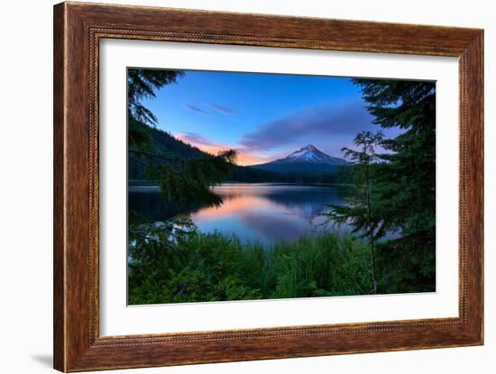 Tree Framed Trillium Lake Reflection, Summer Mount Hood Oregon-Vincent James-Framed Photographic Print