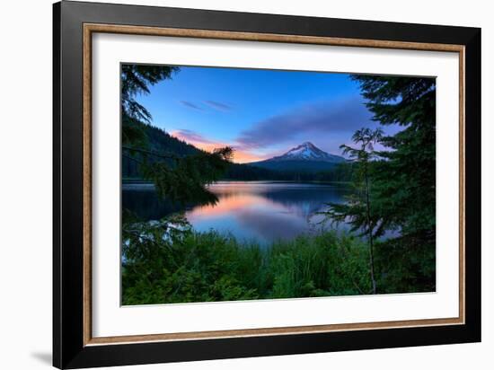 Tree Framed Trillium Lake Reflection, Summer Mount Hood Oregon-Vincent James-Framed Photographic Print