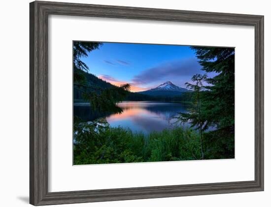 Tree Framed Trillium Lake Reflection, Summer Mount Hood Oregon-Vincent James-Framed Photographic Print