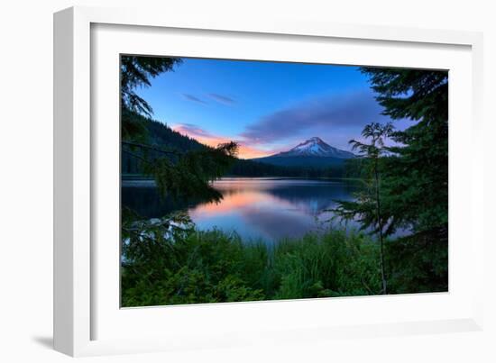 Tree Framed Trillium Lake Reflection, Summer Mount Hood Oregon-Vincent James-Framed Photographic Print