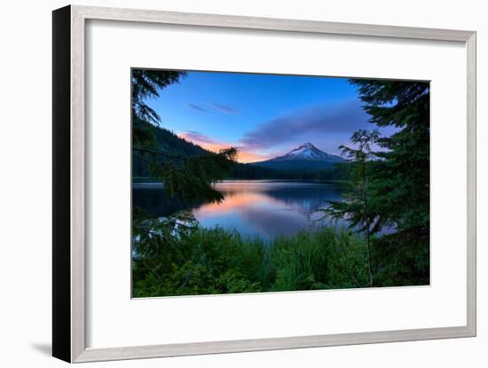 Tree Framed Trillium Lake Reflection, Summer Mount Hood Oregon-Vincent James-Framed Photographic Print