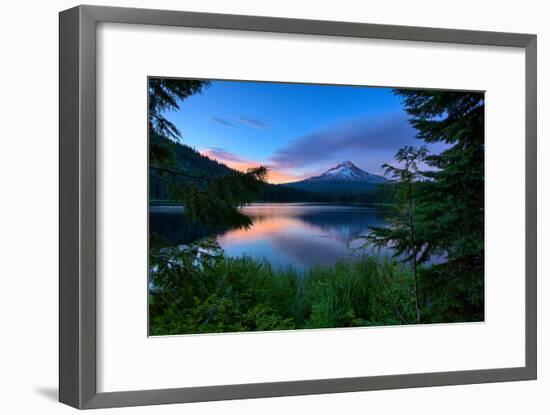 Tree Framed Trillium Lake Reflection, Summer Mount Hood Oregon-Vincent James-Framed Photographic Print