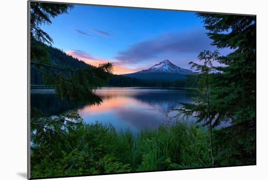 Tree Framed Trillium Lake Reflection, Summer Mount Hood Oregon-Vincent James-Mounted Photographic Print