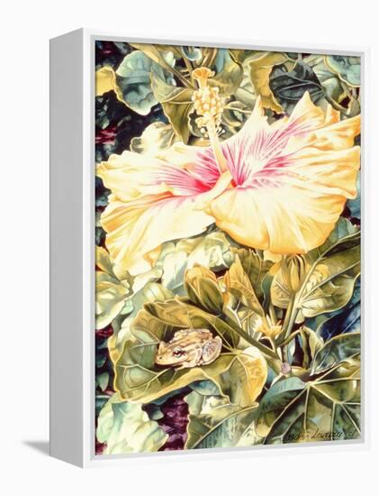 Tree Frog and White, Yellow and Pink Hibiscus, 1989-Sandra Lawrence-Framed Premier Image Canvas