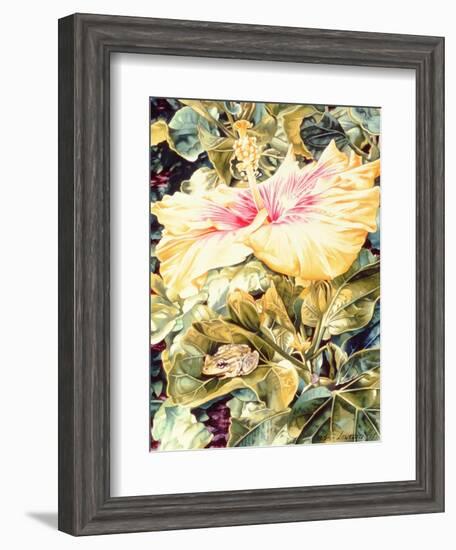 Tree Frog and White, Yellow and Pink Hibiscus, 1989-Sandra Lawrence-Framed Giclee Print