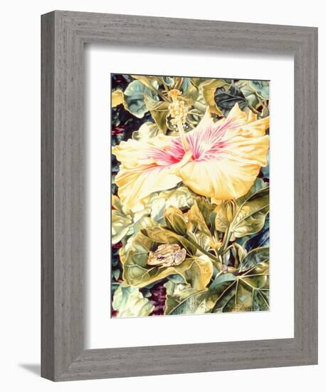 Tree Frog and White, Yellow and Pink Hibiscus, 1989-Sandra Lawrence-Framed Giclee Print