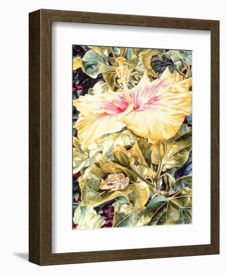 Tree Frog and White, Yellow and Pink Hibiscus, 1989-Sandra Lawrence-Framed Giclee Print