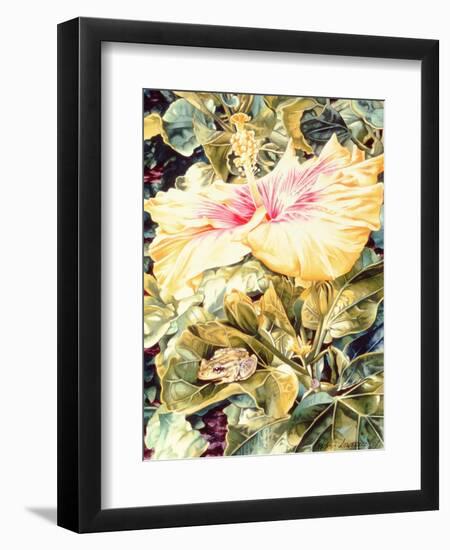 Tree Frog and White, Yellow and Pink Hibiscus, 1989-Sandra Lawrence-Framed Giclee Print