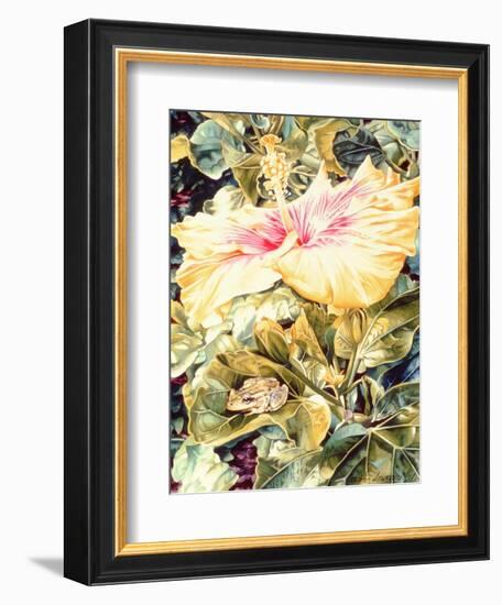 Tree Frog and White, Yellow and Pink Hibiscus, 1989-Sandra Lawrence-Framed Giclee Print