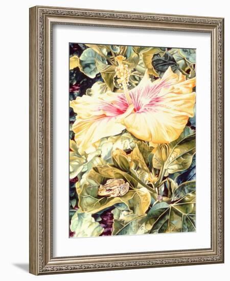 Tree Frog and White, Yellow and Pink Hibiscus, 1989-Sandra Lawrence-Framed Giclee Print