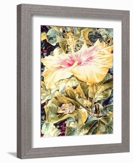 Tree Frog and White, Yellow and Pink Hibiscus, 1989-Sandra Lawrence-Framed Giclee Print