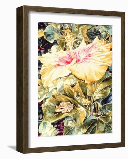 Tree Frog and White, Yellow and Pink Hibiscus, 1989-Sandra Lawrence-Framed Giclee Print