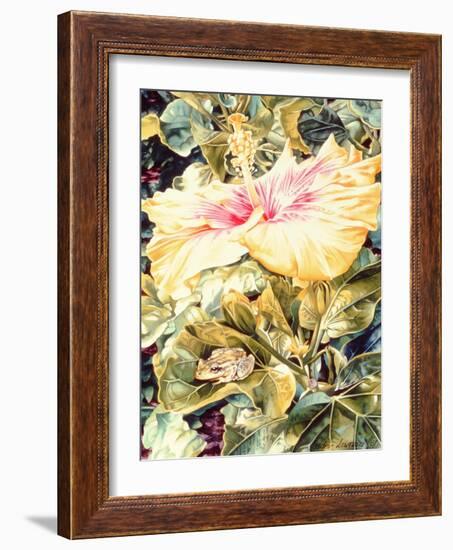 Tree Frog and White, Yellow and Pink Hibiscus, 1989-Sandra Lawrence-Framed Giclee Print