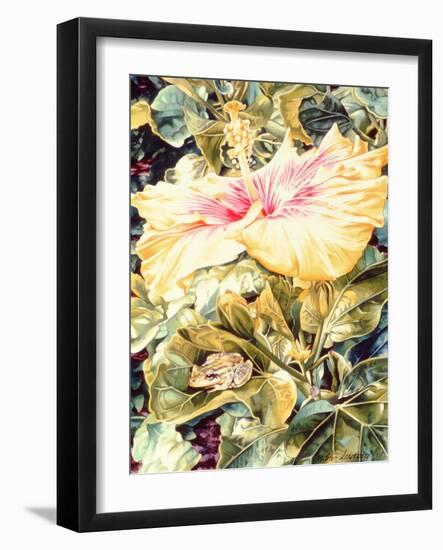 Tree Frog and White, Yellow and Pink Hibiscus, 1989-Sandra Lawrence-Framed Giclee Print
