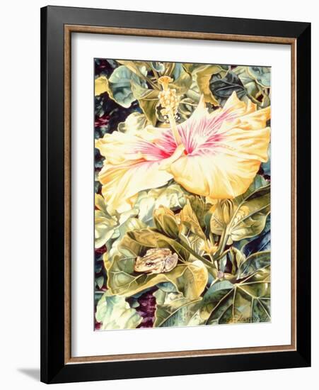 Tree Frog and White, Yellow and Pink Hibiscus, 1989-Sandra Lawrence-Framed Giclee Print