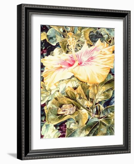 Tree Frog and White, Yellow and Pink Hibiscus, 1989-Sandra Lawrence-Framed Giclee Print