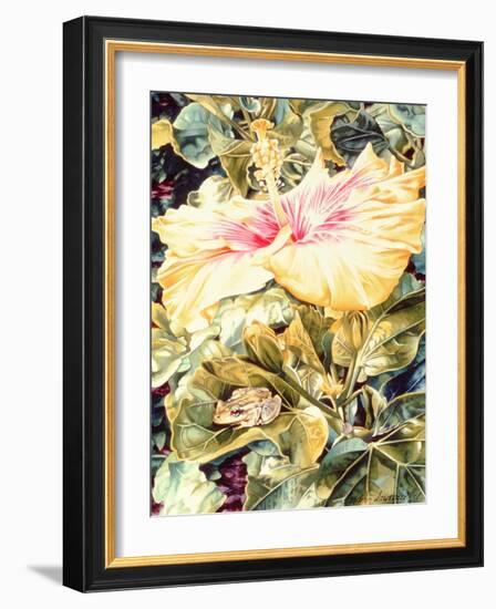 Tree Frog and White, Yellow and Pink Hibiscus, 1989-Sandra Lawrence-Framed Giclee Print