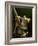 Tree Frog in Costa Rica-Paul Souders-Framed Photographic Print