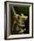 Tree Frog in Costa Rica-Paul Souders-Framed Photographic Print