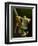 Tree Frog in Costa Rica-Paul Souders-Framed Photographic Print