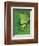 Tree Frog-Renee Lynn-Framed Art Print