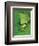 Tree Frog-Renee Lynn-Framed Art Print