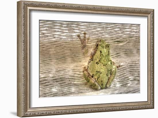 Tree Frog-Robert Goldwitz-Framed Photographic Print