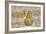 Tree Frog-Robert Goldwitz-Framed Photographic Print