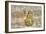 Tree Frog-Robert Goldwitz-Framed Photographic Print