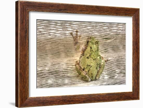 Tree Frog-Robert Goldwitz-Framed Photographic Print